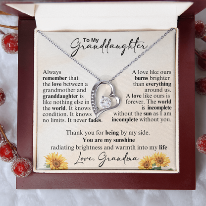 To My Beautiful Granddaughter - Never Stop Believing in Yourself