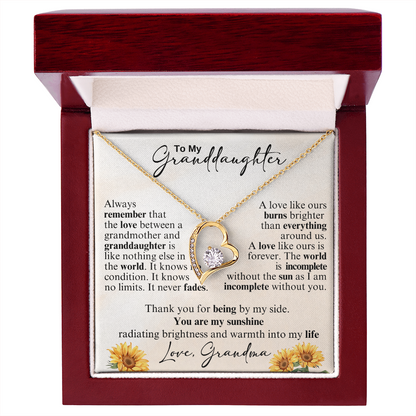 To My Beautiful Granddaughter - Never Stop Believing in Yourself
