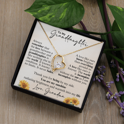 To My Beautiful Granddaughter - Never Stop Believing in Yourself