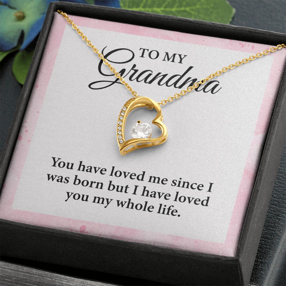 To My Grandma - I Have Loved You in My Whole Life, Necklace Gift for Her