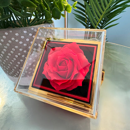 To My Bonus Daughter Necklace – Meaningful Gift in Rotating Rose Box